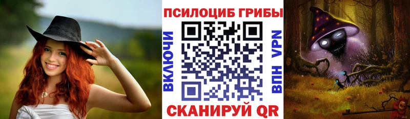 купить закладку  Остров  Галлюциногенные грибы Psilocybine cubensis 